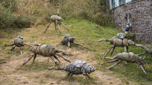 portada del post Huerto alienigena en Sargadelos