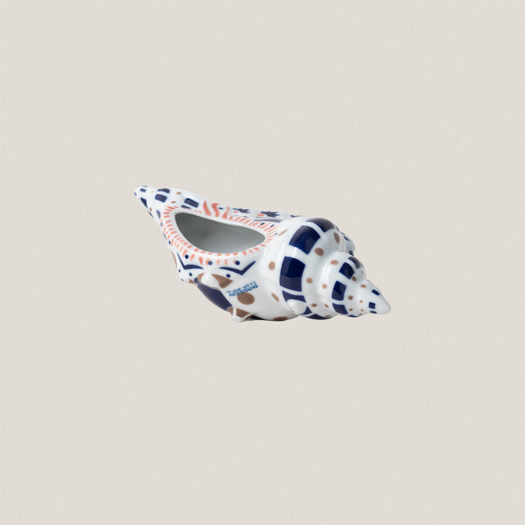 Queen Conch